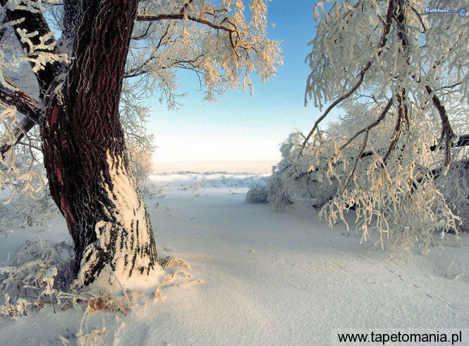 winter 004, Tapety Zima, Zima tapety na pulpit, Zima