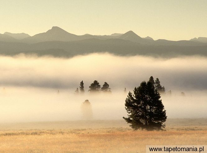 Fog at Sunrise, Pelican Valley, Yellowstone National Park, Wyoming, Tapety Widoki, Widoki tapety na pulpit, Widoki