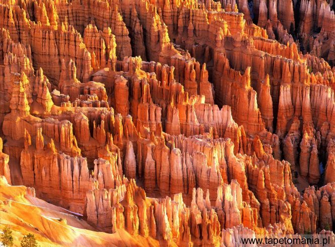 Hoodoos Formations, Bryce Canyon, Utah, Tapety Widoki, Widoki tapety na pulpit, Widoki