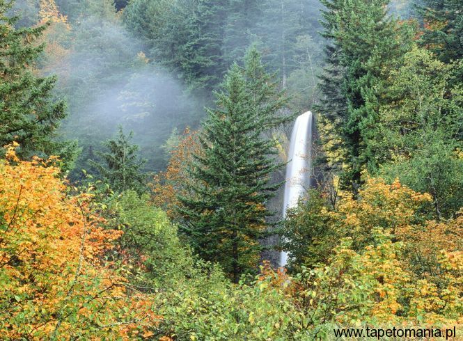 Latourell Falls, Columbia River, Oregon, Tapety Widoki, Widoki tapety na pulpit, Widoki