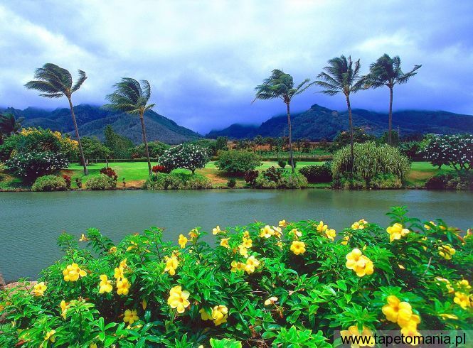 Maui Tropical Plantation, Hawaii, Tapety Widoki, Widoki tapety na pulpit, Widoki