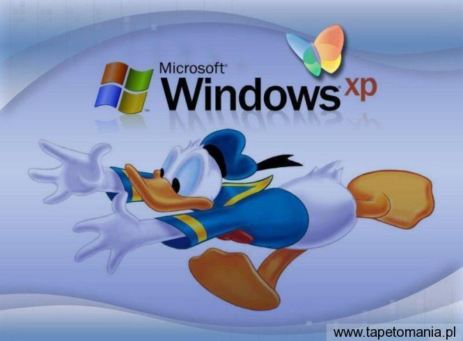 Windows XP 002, Tapety Windows, Windows tapety na pulpit, Windows