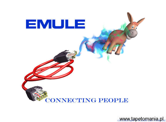 eMule 04, Tapety Komputery, Komputery tapety na pulpit, Komputery