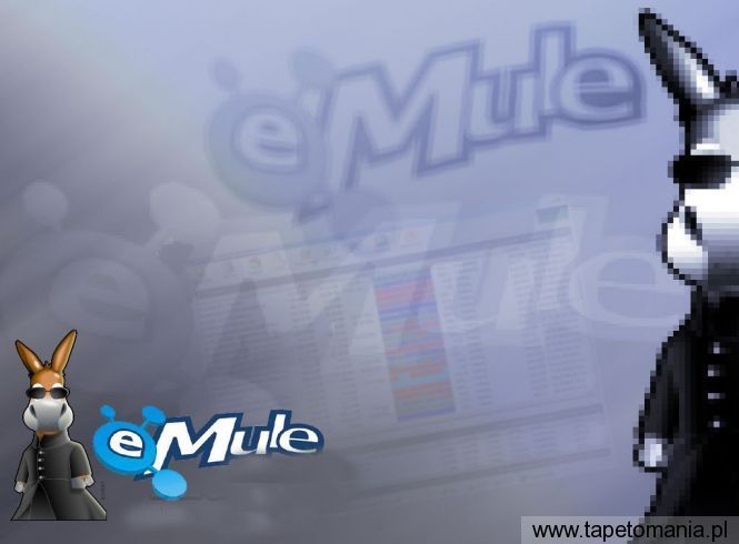 eMule 06, Tapety Komputery, Komputery tapety na pulpit, Komputery