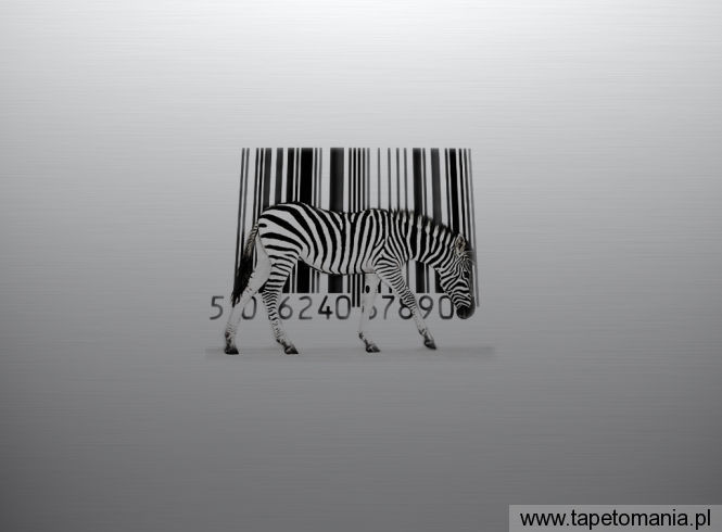 zebra g, Tapety 3D, 3D tapety na pulpit, 3D