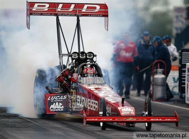 Budweiser Top Fuel Dragster, Tapety Samochody, Samochody tapety na pulpit, Samochody