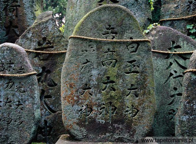 fushimi inari taisha shrine, Tapety Budowle, Budowle tapety na pulpit, Budowle