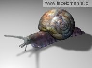 3D Snail, 