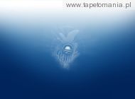 Blue Wallpapers 005, 