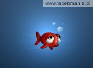 Funny 3D Animals Wallpapers 02, 