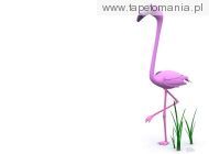 Funny 3D Animals Wallpapers 10, 