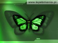 Green Wallpapers 027