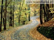 Autumn Road, Percy Warner Park, Nashville, Tennessee