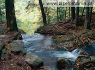 Buttermilk Falls, Delaware Water Gap National Recreation Area, New Jersey, 