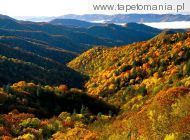 Deep Creek Valley, Great Smoky Mountains National Park, Tennessee