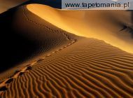 Footprints, Namib Desert, Namibia, Africa
