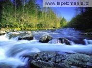Little Pigeon River, Great Smoky Mountains National Park, Te