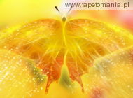 Yellow Wallpapers 001, 