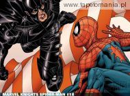 Spider Man   Marvel Knights 2