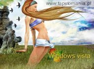 Windows Vista 075