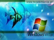 Windows Vista 077