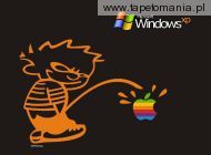 Windows XP 011