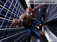 Spiderman m, 
