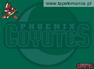 phoenix coyotes