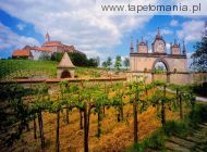 austrian vineyard