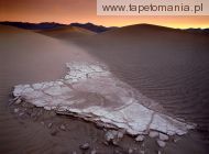 mesquite sand dunes at dawn