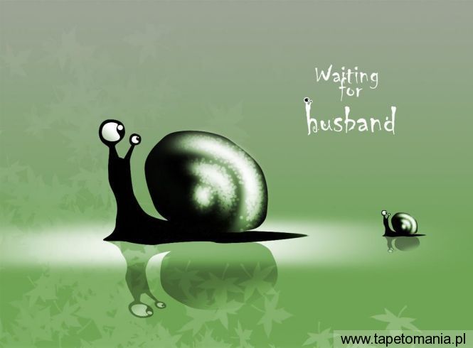 Two Snails Wating For Husband, Tapety Art, Art tapety na pulpit, Art