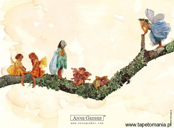 AnneGeddes Wallpaper44, Tapety Dzieci, Dzieci tapety na pulpit, Dzieci