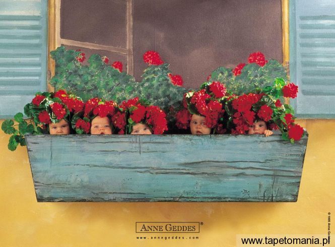 AnneGeddes Wallpaper59, Tapety Dzieci, Dzieci tapety na pulpit, Dzieci