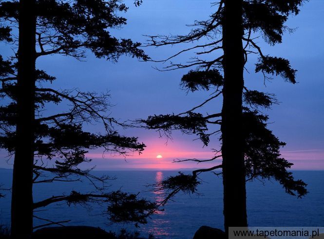 Atlantic Sunrise, Acadia National Park, Maine, Tapety Widoki, Widoki tapety na pulpit, Widoki