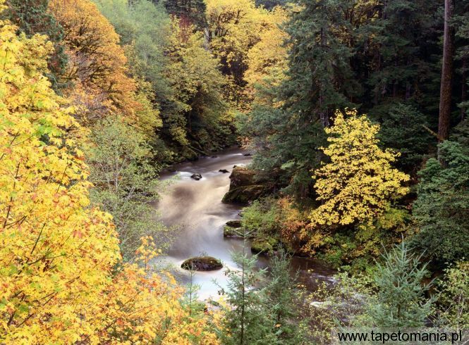 Autumn Color, Coquille River, Oregon, Tapety Widoki, Widoki tapety na pulpit, Widoki