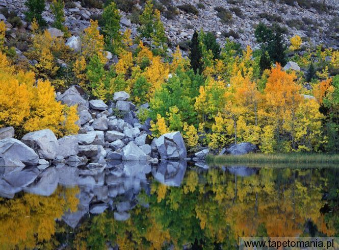 Autumn Color, Eastern Sierra, California, Tapety Widoki, Widoki tapety na pulpit, Widoki