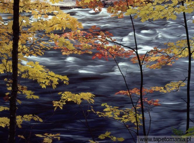 Autumn Colors a Rushing River, Tapety Widoki, Widoki tapety na pulpit, Widoki