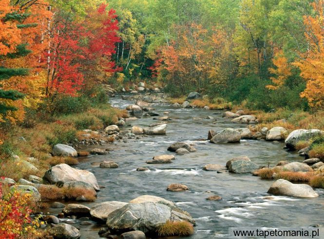 Autumn Colors, White Mountains, New Hampshire, Tapety Widoki, Widoki tapety na pulpit, Widoki