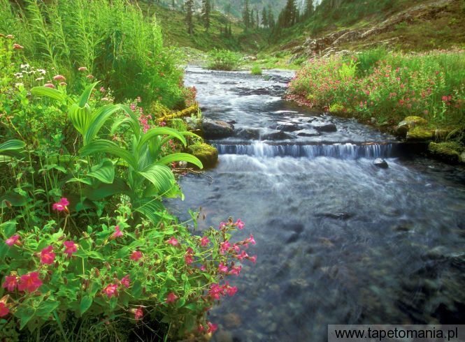 Bagley Creek, Mount Baker Wilderness, Washington, Tapety Widoki, Widoki tapety na pulpit, Widoki