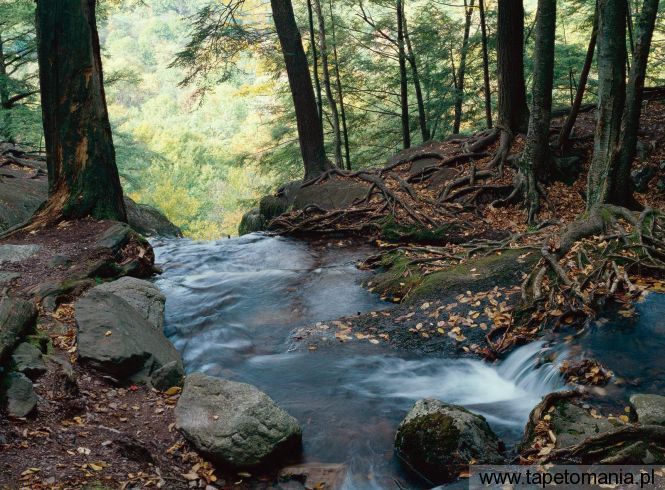 Buttermilk Falls, Delaware Water Gap National Recreation Area, New Jersey, Tapety Widoki, Widoki tapety na pulpit, Widoki
