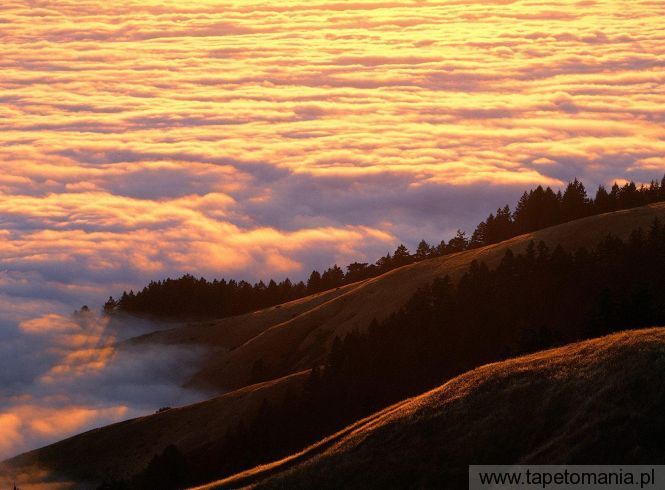 Coastal Fog and Mount Tamalpais at Sunset, Marin County, Cal, Tapety Widoki, Widoki tapety na pulpit, Widoki