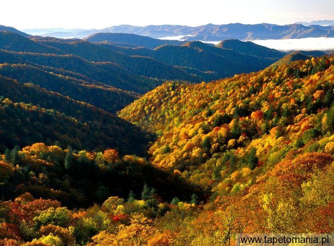 Deep Creek Valley, Great Smoky Mountains National Park, Tennessee, Tapety Widoki, Widoki tapety na pulpit, Widoki