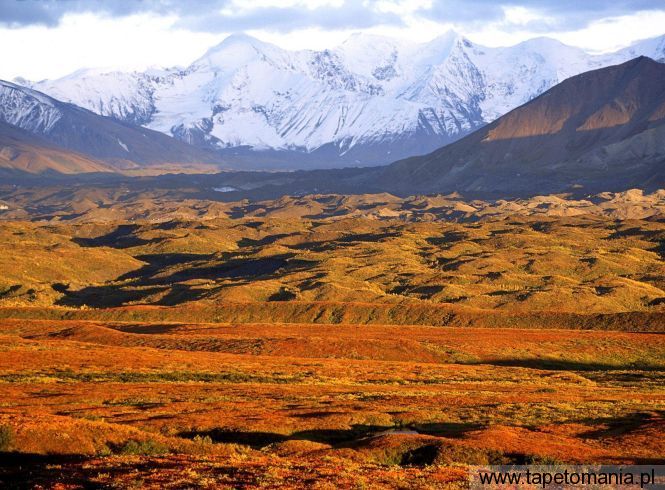 Denali National Park, Alaska, Tapety Widoki, Widoki tapety na pulpit, Widoki
