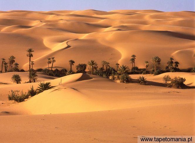 Desert Oasis, Libya, Tapety Widoki, Widoki tapety na pulpit, Widoki