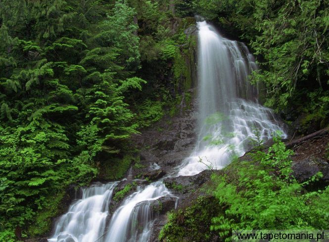 Ethereal Waters, Mount Rainier, Washington, Tapety Widoki, Widoki tapety na pulpit, Widoki