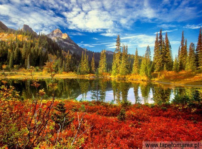 Fall in the Tatoosh Wilderness, Mount Rainier National Park, Washington, Tapety Widoki, Widoki tapety na pulpit, Widoki