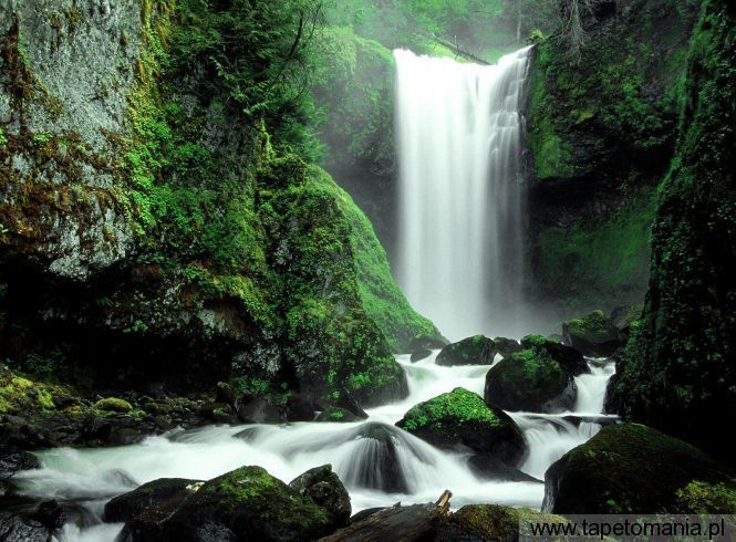 Falls Creek Falls, Gifford Pinchot National Forest, Washington, Tapety Widoki, Widoki tapety na pulpit, Widoki