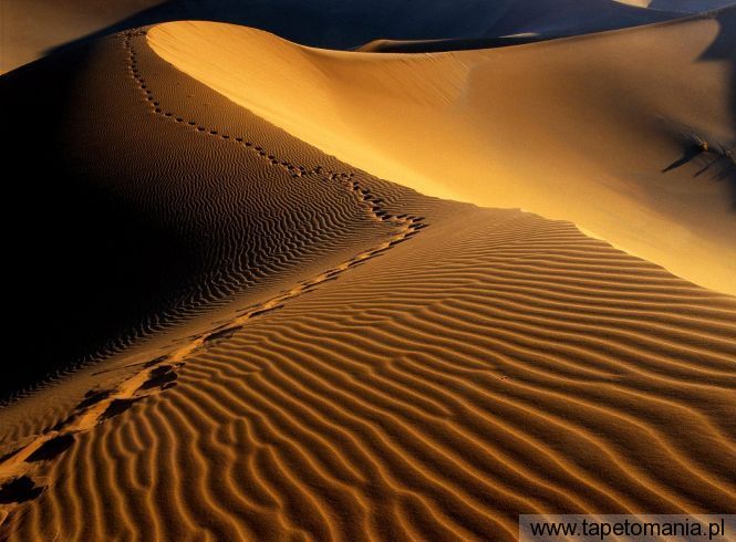 Footprints, Namib Desert, Namibia, Africa, Tapety Widoki, Widoki tapety na pulpit, Widoki
