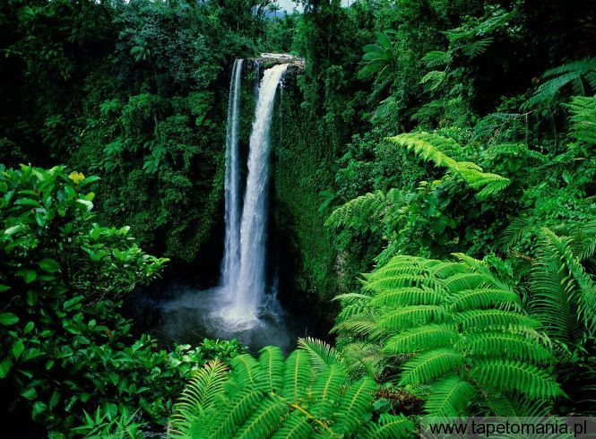 Fuipisia Falls, Upolu Island, Samoa, Tapety Widoki, Widoki tapety na pulpit, Widoki