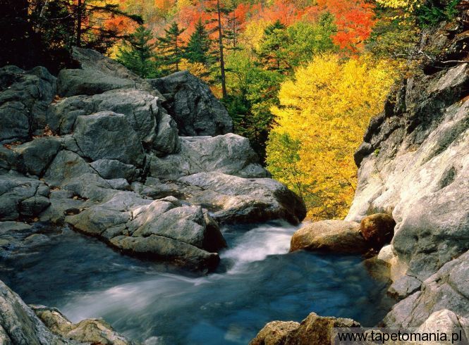 Glen Ellis Falls, White Mountain National Forest, New Hampshire, Tapety Widoki, Widoki tapety na pulpit, Widoki
